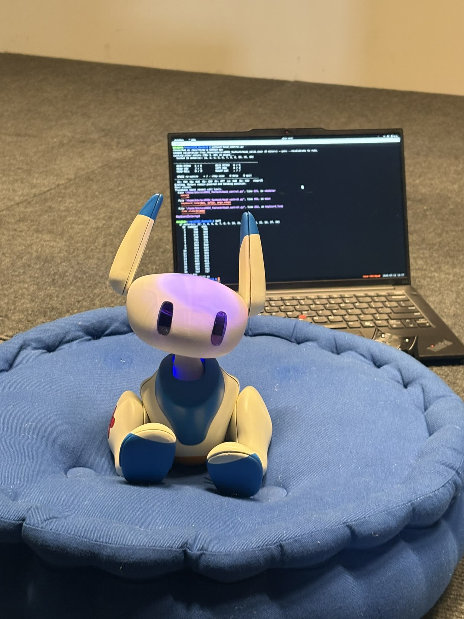 Piko, assembled, sitting on a cushion